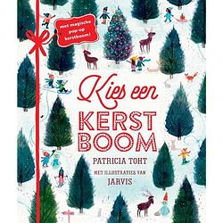 Foto van Kies een kerstboom