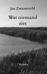 Foto van Wat niemand ziet - jan zwaaneveld - paperback (9789464355147)