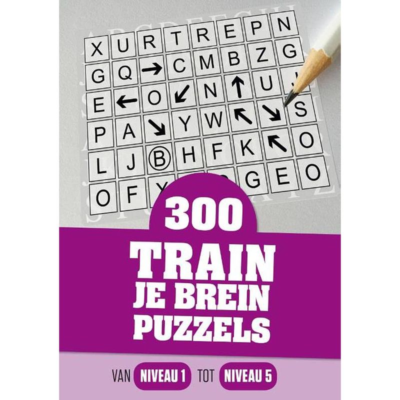 Foto van 300 train je brein puzzels