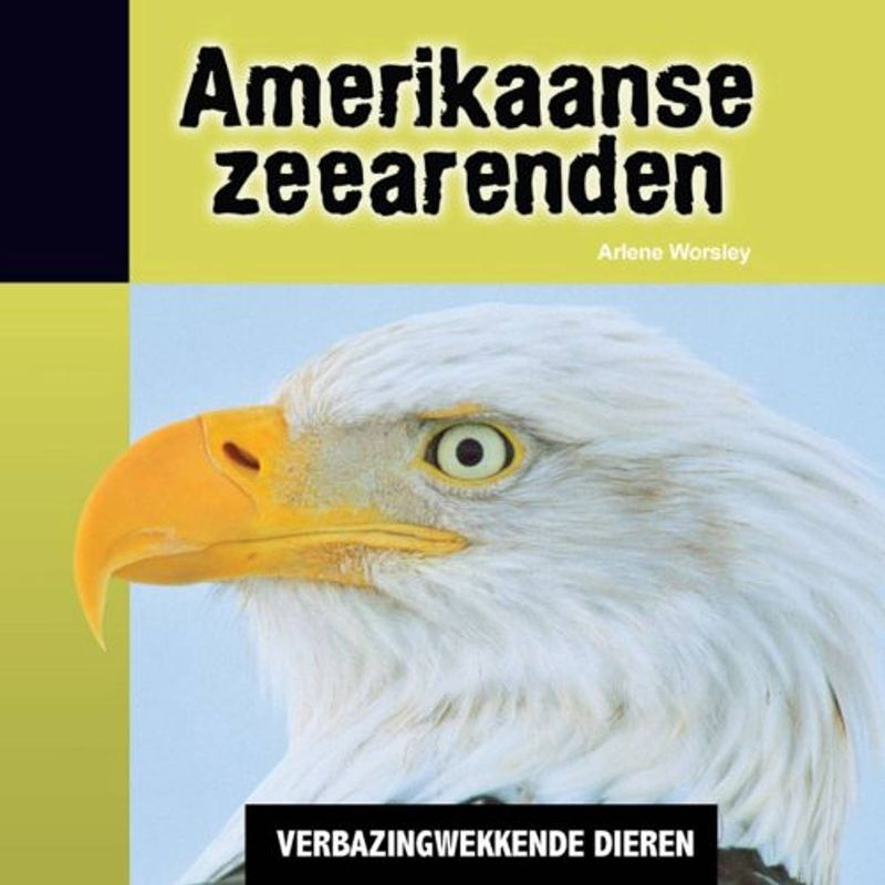 Foto van Amerikaanse zeearenden - verbazingwekkende dieren