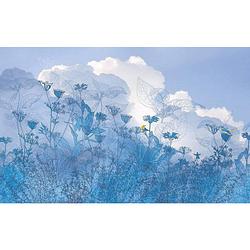 Foto van Komar blue sky vlies fotobehang 400x250cm 4-banen