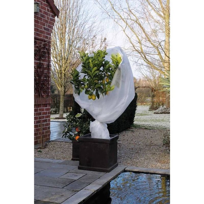 Foto van Natuur wintersluier 30 g / m² - 2 x 10 m - wit