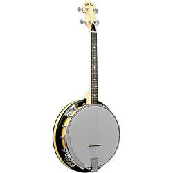 Foto van Gold tone cc-irish tenor resonatorbanjo met draagtas