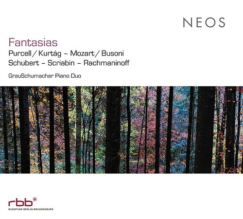 Foto van Fantasias - cd (4260063215018)