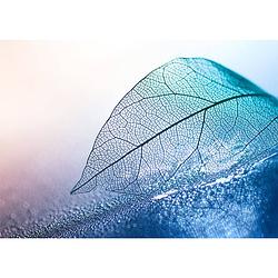 Foto van Inductiebeschermer - blauw abstract blad - 70x55 cm