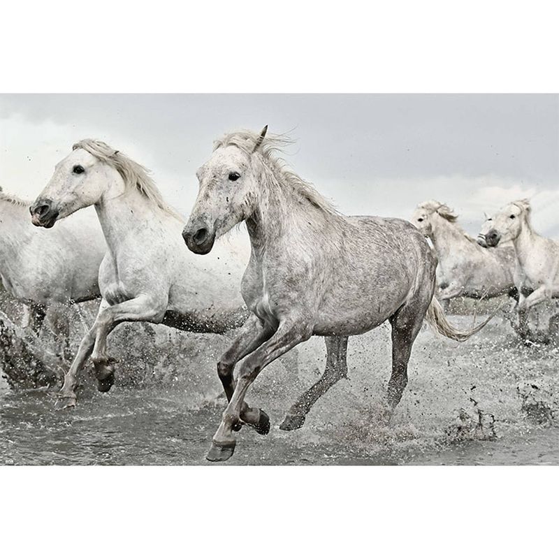 Foto van Grupo erik white horses poster 91,5x61cm