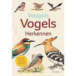 Foto van Veldgids - vogels herkennen