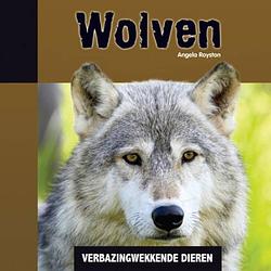 Foto van Wolfen - verbazingwekkende dieren