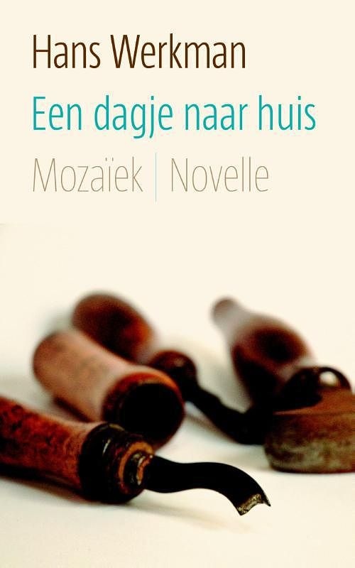 Foto van Een dagje naar huis - hans werkman - ebook