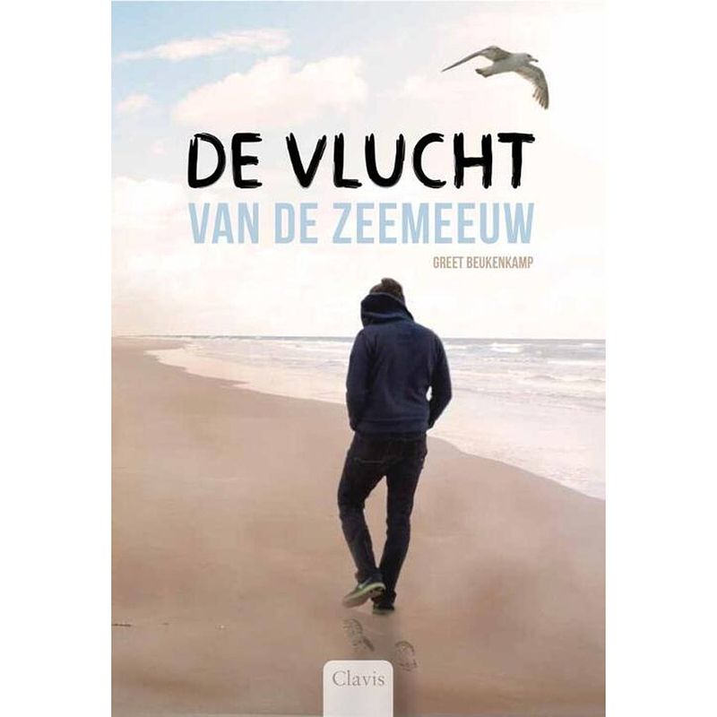 Foto van De vlucht van de zeemeeuw