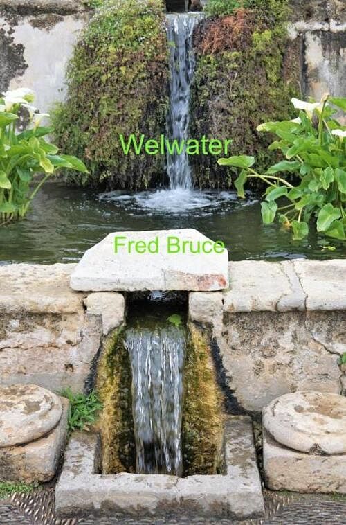 Foto van Welwater - fred bruce - paperback (9789464651423)