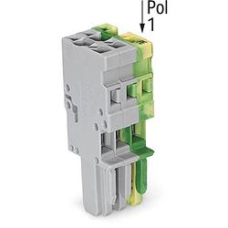 Foto van Wago 769-102/000-036 connector, female 100 stuk(s)