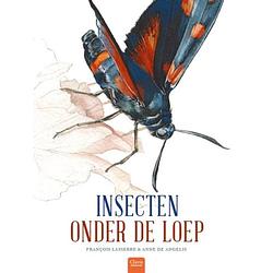 Foto van Insecten onder de loep