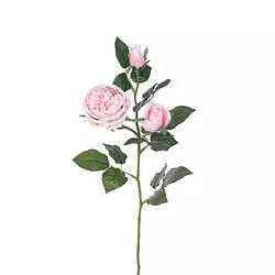 Foto van Buitengewoon de boet - engelse roos tak licht roze 64 cm kunstplant