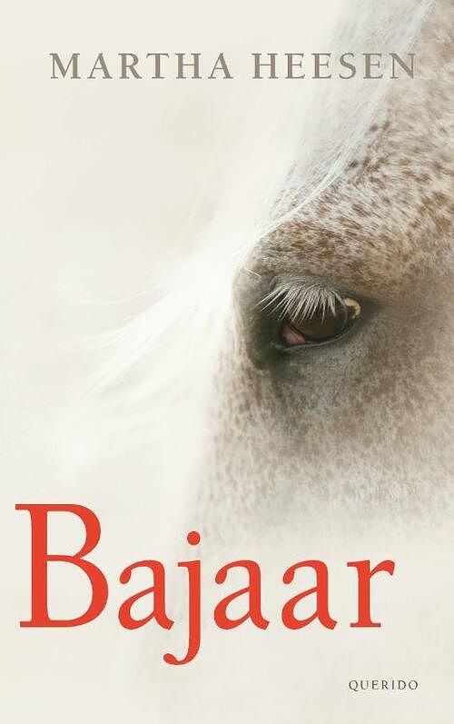 Foto van Bajaar - martha heesen - ebook (9789045112626)