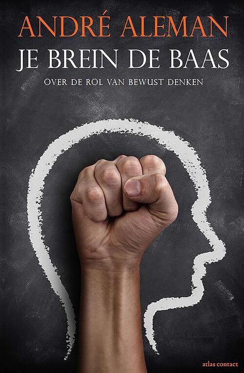 Foto van Dirigent van de bovenkamer - andré aleman - ebook (9789045026985)