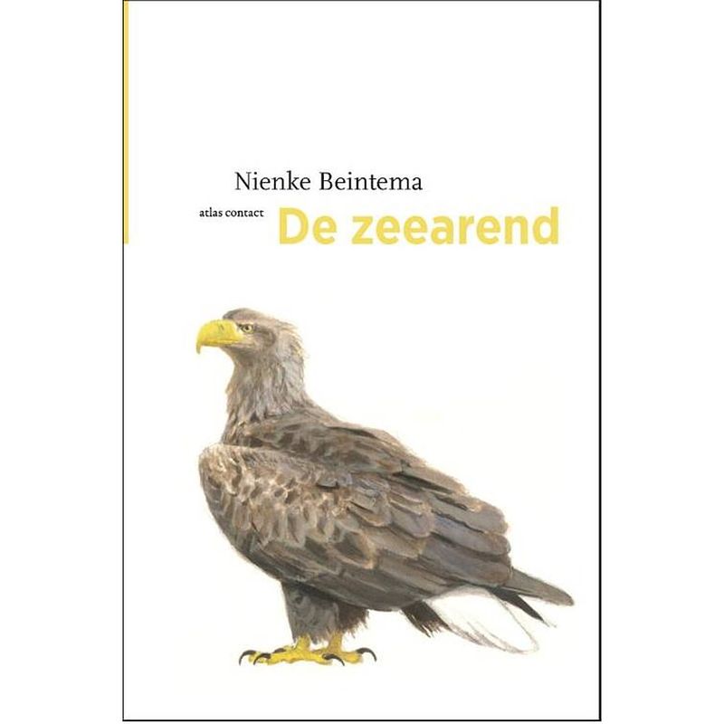 Foto van De zeearend