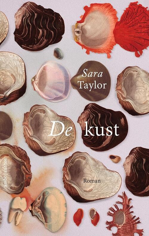 Foto van De kust - sara taylor - ebook (9789026333118)