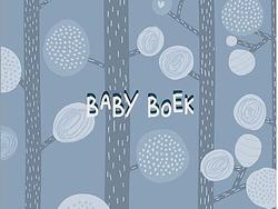 Foto van Babyboek - hardcover (9789083055756)