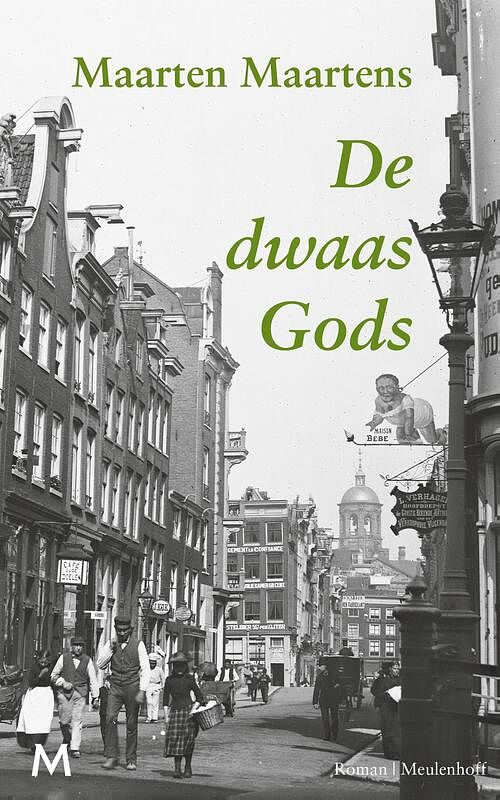 Foto van De dwaas gods - maarten maartens - ebook (9789402304626)