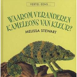 Foto van Waarom veranderen kameleons van kleur? - vertel