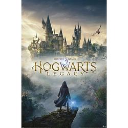 Foto van Poster hogwarts legacy wizarding world universe 61x91,5cm