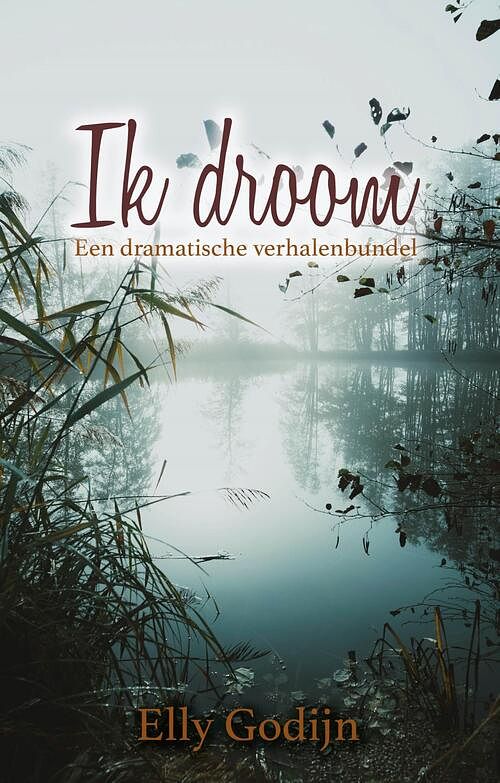 Foto van Ik droom - elly godijn - ebook (9789493233515)