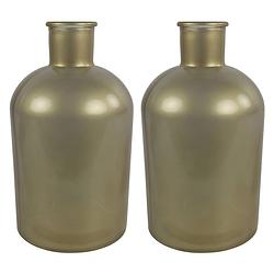 Foto van 2x stuks countryfield vaas - mat goud glas - apotheker fles - d14 x h27 cm - vazen