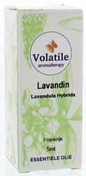 Foto van Volatile lavandin (lavandula super) 5ml