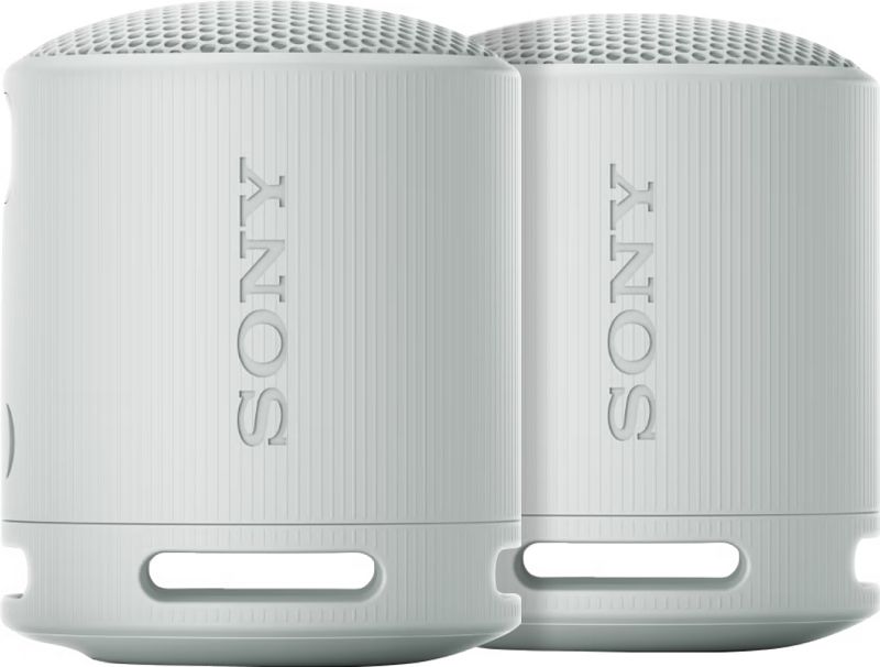 Foto van Sony srs-xb100 duo pack grijs