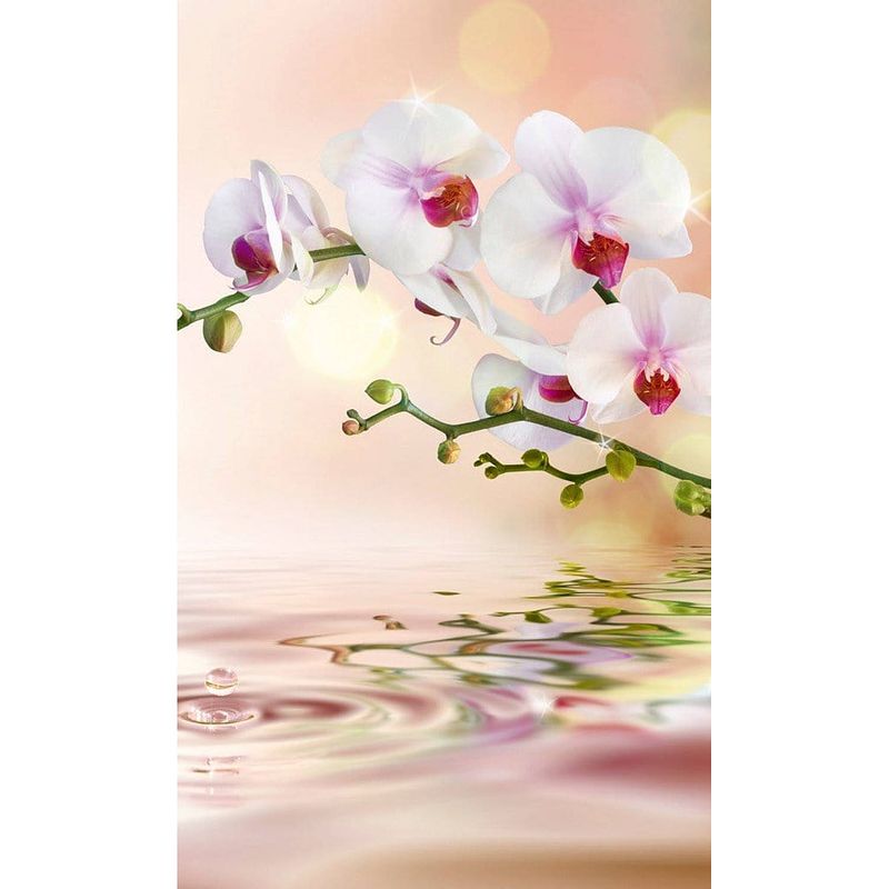 Foto van Dimex white orchid vlies fotobehang 150x250cm 2-banen