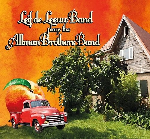 Foto van Plays the allman brothers band - lp (8713762038847)