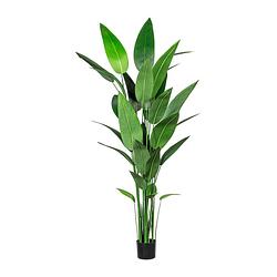 Foto van Kopu® kunstplant canna 210 cm 32 bladeren - in zwarte pot - bloemriet