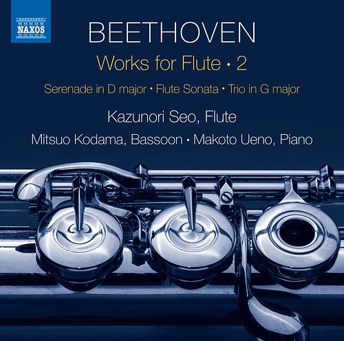 Foto van Works for flute, vol. 2 - cd (0747313357079)