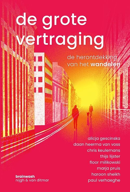 Foto van De grote vertraging - diverse auteurs - ebook (9789038810225)