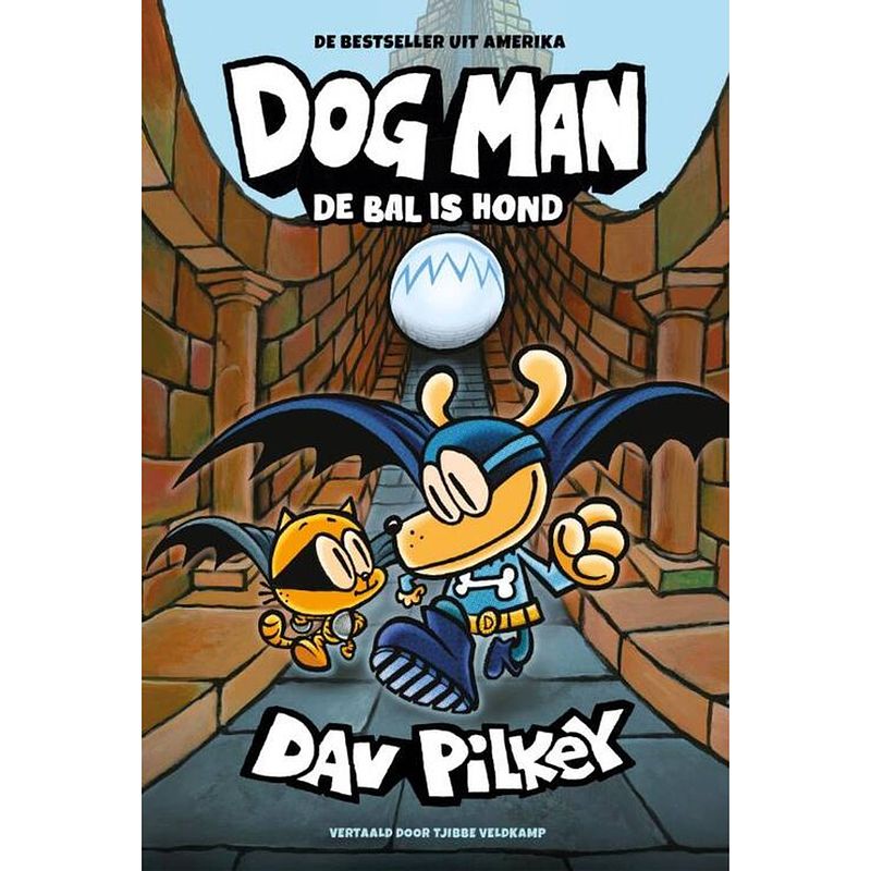 Foto van Dog man 7 - de bal is hond