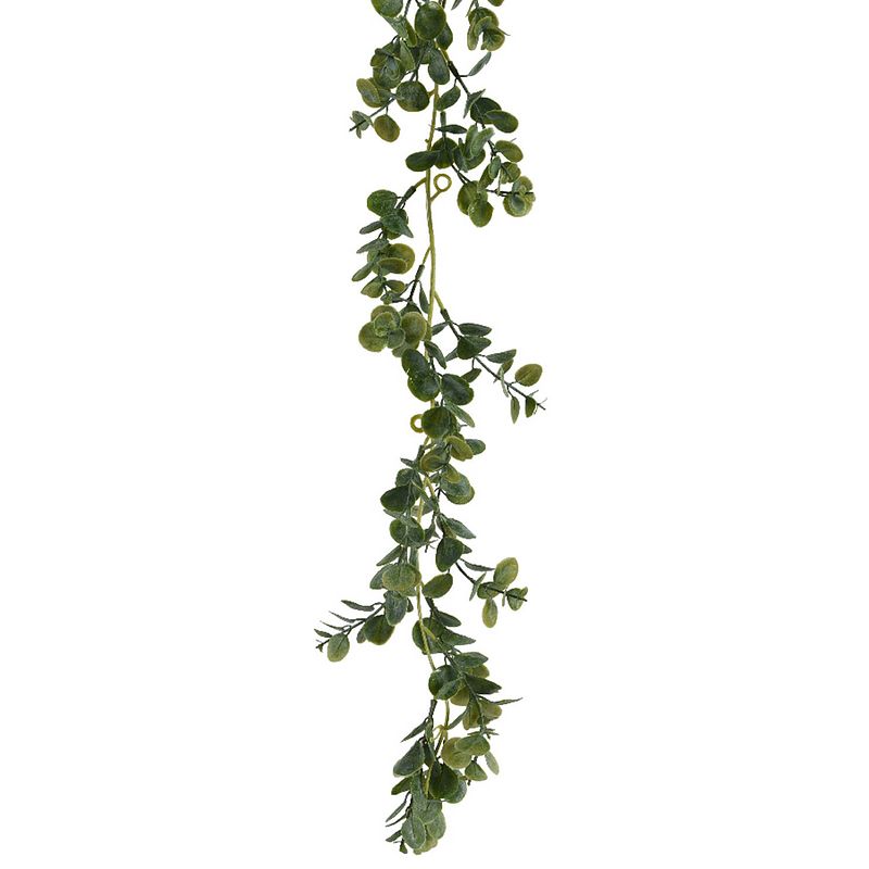 Foto van Everlands planten slinger - eucalyptus - kunstplant - groen - 180 cm - kunstplanten