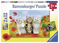 Foto van Katjes op ontdekkingsreis (2x12 stukjes) - puzzel;puzzel (4005556076260)