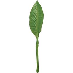 Foto van Groene musa/bananenplant blad kunsttak kunstplant 74 cm - kunstbloemen