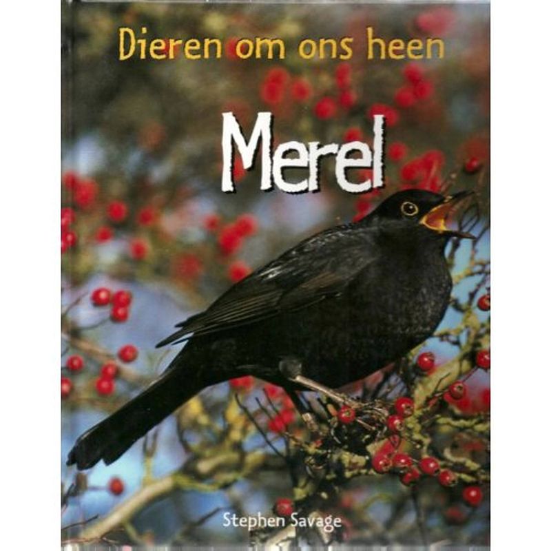 Foto van Merel - dieren om ons heen