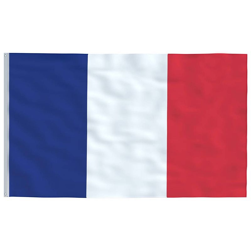 Foto van Vidaxl vlag frankrijk 90x150 cm