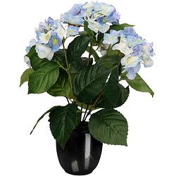 Foto van Hortensia kunstplant/kunstbloemen 40 cm - blauw - in pot zwart glans - kunstplanten