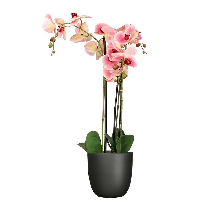 Foto van Orchidee kunstplant roze - 75 cm - inclusief bloempot titanium grijs glans - kunstplanten