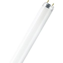 Foto van Osram tl-lamp energielabel: g (a - g) g13 36 w warmwit buis (ø x l) 25.5 mm x 1213.6 mm 1 stuk(s)