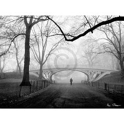 Foto van Henri silberman - gothic bridge, central park nyc kunstdruk 80x60cm