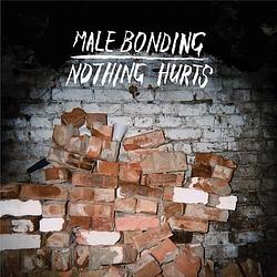 Foto van Nothing hurts - lp (0098787085419)