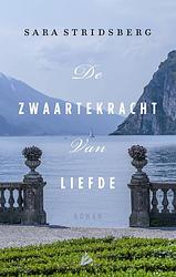 Foto van De zwaartekracht van liefde - sara stridsberg - ebook (9789048826094)