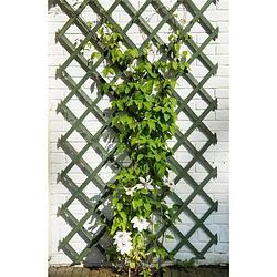 Foto van Nature garden trellis 50 x 150 cm hout groen