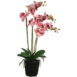 Foto van Roze orchidee kunstplanten/planten in pot 62 cm - kunstplanten/nepplanten - kantoorplanten/woonkamer planten