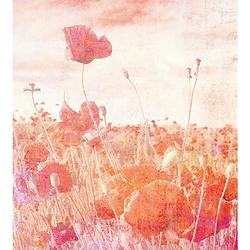 Foto van Dimex poppies abstract fotobehang 225x250cm 3-banen